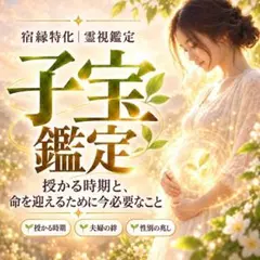 【霊視鑑定・限定価格】子宝鑑定｜不妊・夫婦関係・仕事・開運・未来・転機　占い