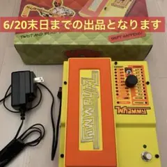 2026年最新】digitech whammyの人気アイテム - メルカリ