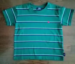 POLO 緑 ストライプ Tシャツ120cm