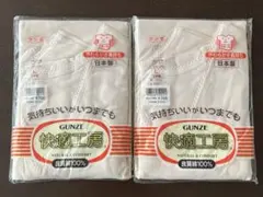 GUNZE 快適工房 V型三分袖スリーマー Lサイズ 2枚セット