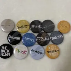 レディクレ　缶バッジ　セット