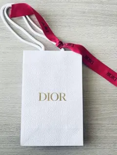 DIOR 紙袋