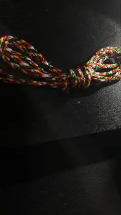 紫音様専用 希少品 チベット祈祷済み チベット魔除け 開運紐＆ブレス