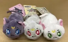 Item thumbnail for item 08c8b034-dc97-48d2-8480-638778b2355c