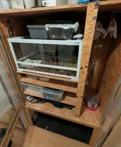 Item thumbnail for item 0df63d6e-cd29-4c67-a7a6-2d0eabfbb87f