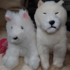 秋田犬 ぬいぐるみ