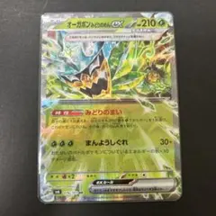 2025年最新】オーガポン みどりのめんex 016/101の人気アイテム