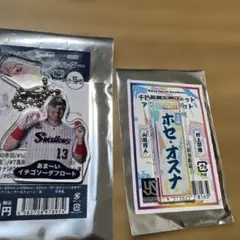 東京ヤクルトスワローズ　オスナ　グルメキーホルダー　&マグネット