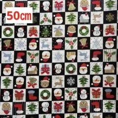 ラスト　　綿プリント生地　クリスマスモチーフ　110㎝×50㎝