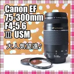 Canon純正 75-300mm 望遠レンズ 美品 a4994 - メルカリ