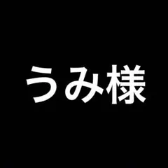 うみ様 リクエスト 2点 まとめ商品