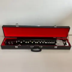 2025年最新】琴伝流大正琴の人気アイテム - メルカリ