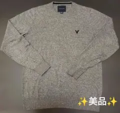 アメリカンイーグル　メンズ　セーターグレーM サイズAMERICAN EAGLE