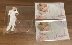 Clubキャッテリア　アメショまとめ売り