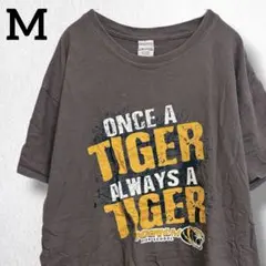 ギルダン 半袖Tシャツ クルーネック プリント M 灰 綿 デイリー カレッジ