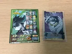 エラサーヘッド ステータスカードコレクション