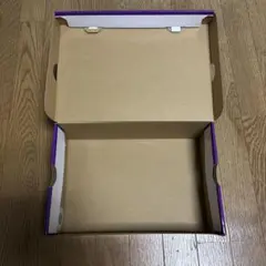 NIKE DUNK SB スニーカー 純正 空箱 28.5cm