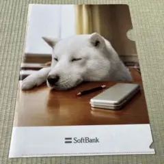 【クリアファイル】SoftBank 白い犬