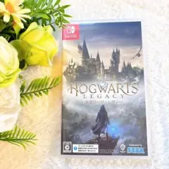 動作確認清掃済みNintendo Switch ホグワーツ・レガシー通常版任天堂