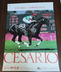 JRA ヒーロー列伝 B3 ポスター No.61 シーザリオ 競走馬 - メルカリ