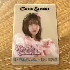 カワラボ ビックエコー クリアカード 桜庭遥花