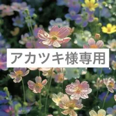 【アカツキ様専用】ロムアンド　アイシャドウ　3点