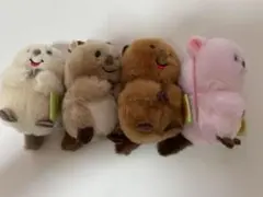 にこにこクウォッカ　4点セット