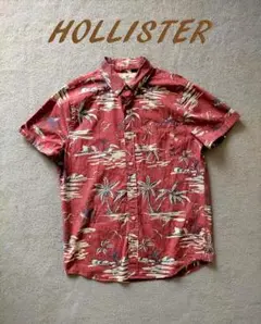 HOLLISTER ホリスター 総柄 BDシャツ M