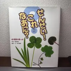 せんせい！これなあに？