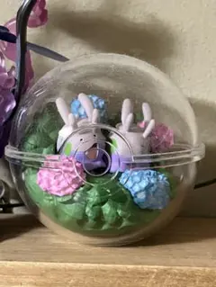 テラリウムコレクション