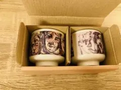 【未使用】大野智　FREESTYLE2020 おちょこ2個セット