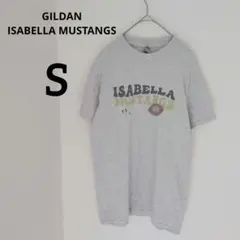 送料込❤GILDAN ISABELLA MUSTANGS【S】 グレーTシャツ