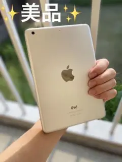 本体Apple iPad Mini 2 16Gb