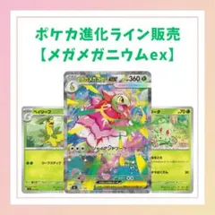 【ポケカ】メガメガニウムexSAR＆ベイリーフ、チコリータミラー仕様各4枚セット