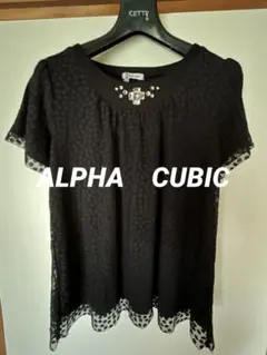 ALPHA CUBIC ブラウスのサムネイル
