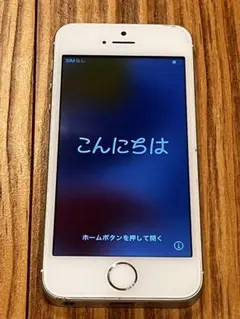 【ジャンク品】iPhone SE 第1世代 シルバー 64GB SIMロック解除