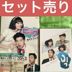 ビッグ 愛は奇跡 公式ガイドブック コン・ユ イ・ミンジョン - メルカリ
