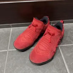 入手困難 NIKE KOBE A.D. レッド 26cmのサムネイル
