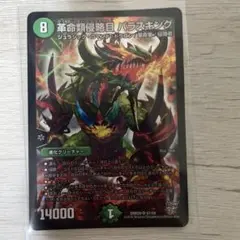 革命類侵略目 パラスキング