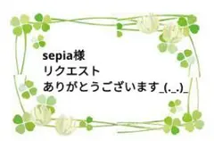 sepia様 リクエスト 2点 まとめ商品