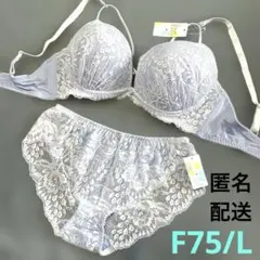 ブラショーツセット　F75 12のサムネイル