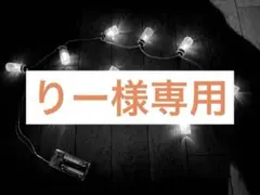 【りー様専用】ボトル型ガーランドLEDライト
