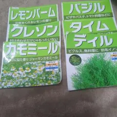 ハーブの種　6種類　　家庭菜園　レモンバーム