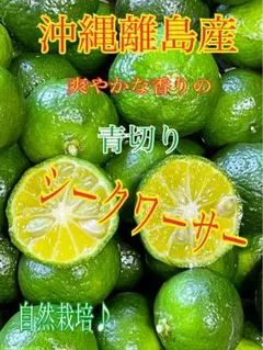 シークヮーサー　発送当日収穫　青切り　農薬不使用　沖縄の代表的な柑橘類　20個のサムネイル