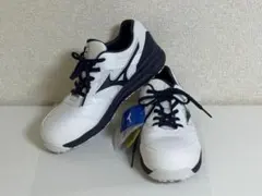 Item thumbnail for item 99f7bf7a-9f25-42b0-ac06-c346c4a07ab8