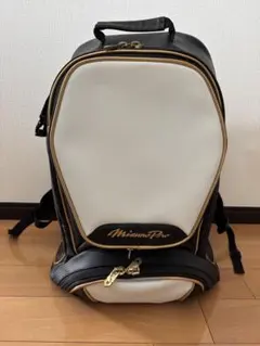 値下可】ミズノプロトートバッグ 阪神タイガース 非売品 2024 プロコレ