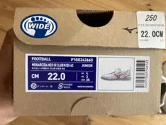 Mizuno MONARCIDA III CLUB KIDS AS 22.0cm