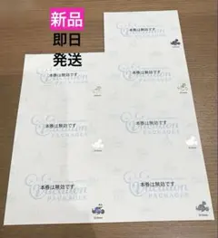 バケーションパッケージ 無効チケット 7枚セット