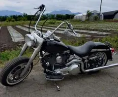 Harley-Davidson ハーレー FLSTC1450 初年度平成14年のサムネイル