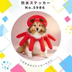 【送料無料❣️】シェルティ防水ステッカー たこさん